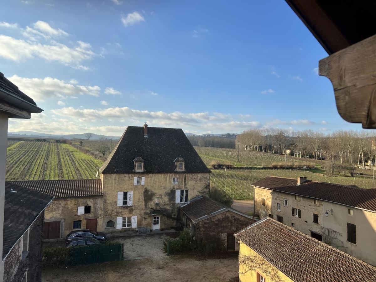 Logis Hotels Chateau De La Barge Chaintre Exterior photo
